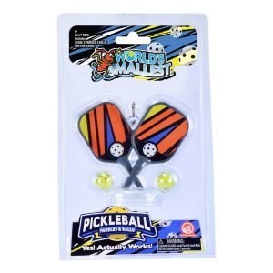 World's Smallest Pickleball Game